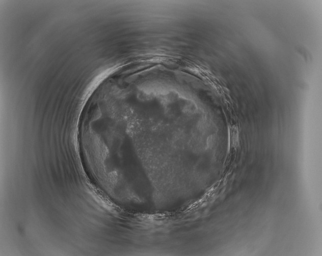 X0000111010147200906261527