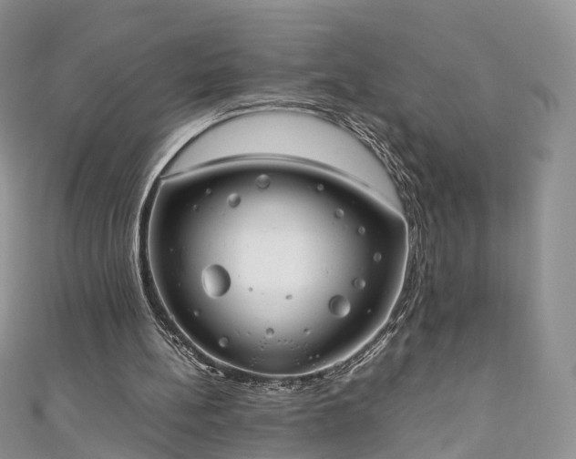 X0000111010148200906261527