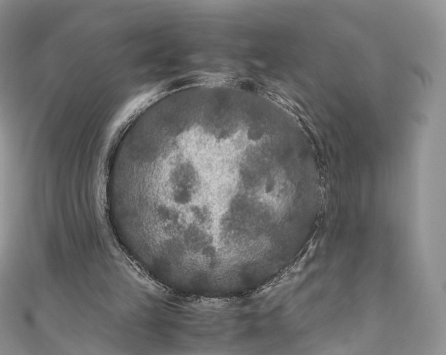 X0000111010149200906261527