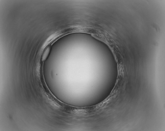 X0000111010150200906261527