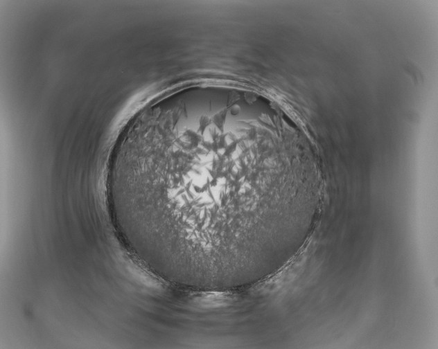 X0000111010151200906261527