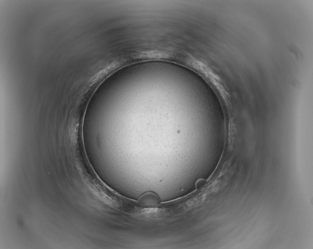 X0000111010153200906261527