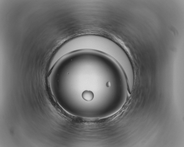 X0000111010154200906261527