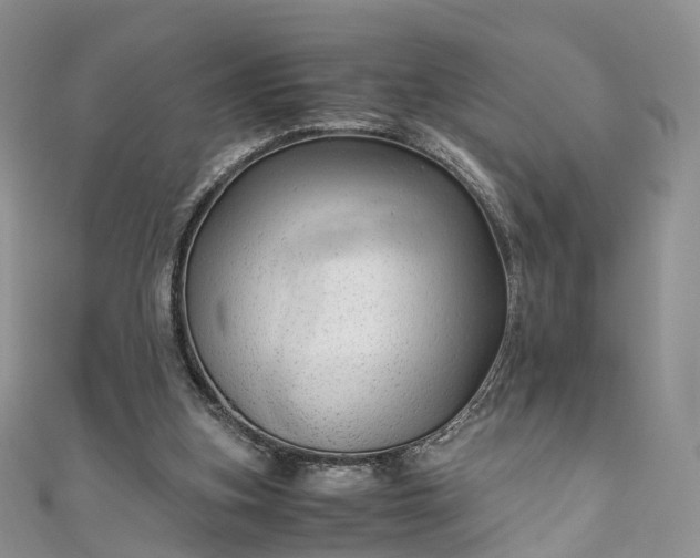 X0000111010155200906261527