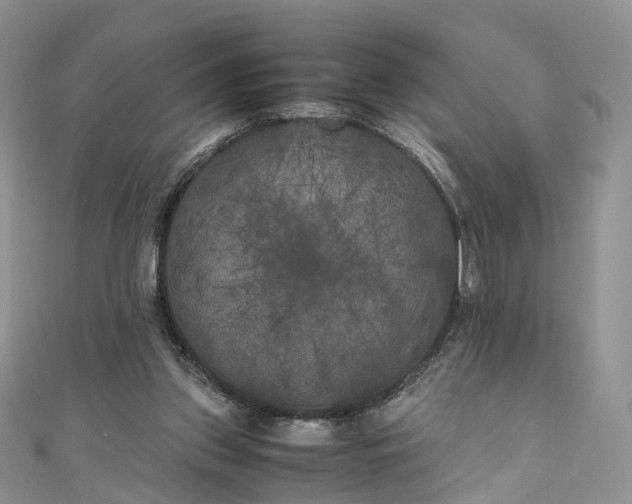 X0000111010157200906261527