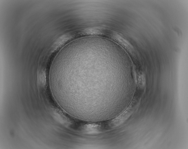 X0000111010158200906261527