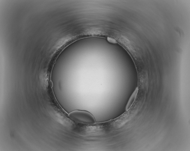 X0000111010160200906261527