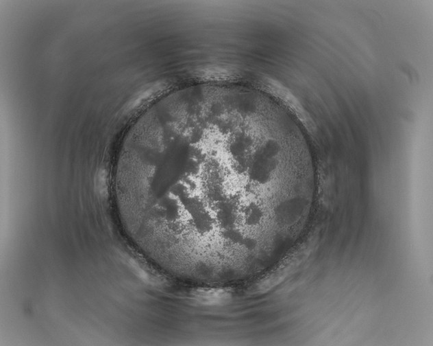 X0000111010161200906261527