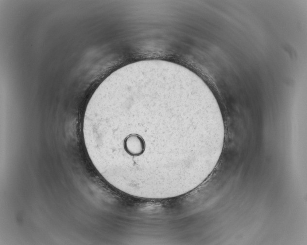 X0000111010162200906261527