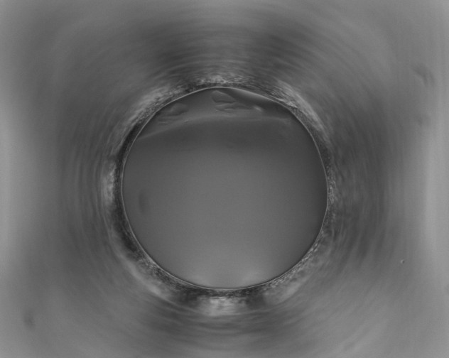 X0000111010163200906261527
