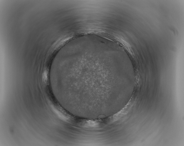 X0000111010166200906261527
