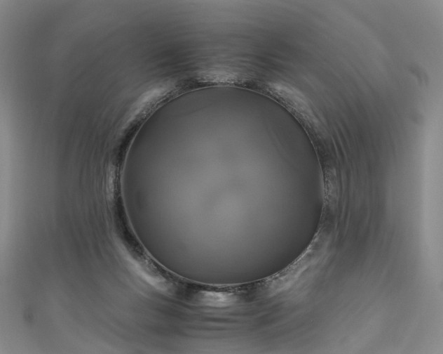 X0000111010167200906261527