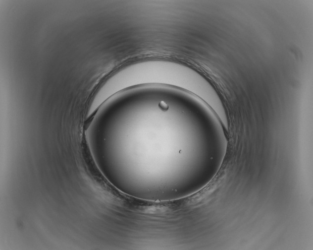 X0000111010168200906261527