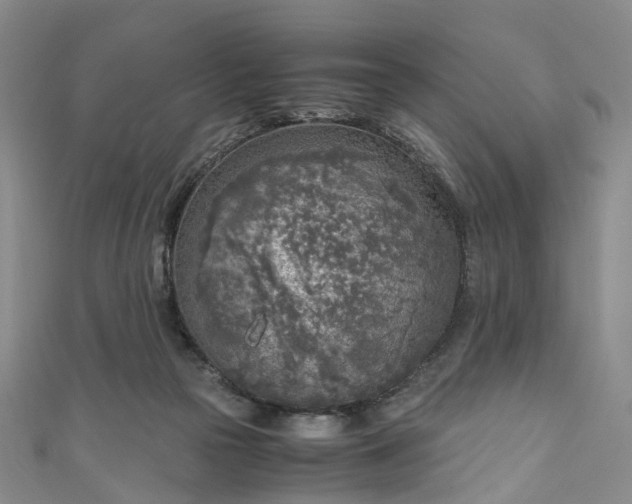 X0000111010169200906261527