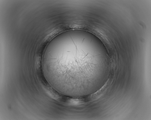 X0000111010171200906261527