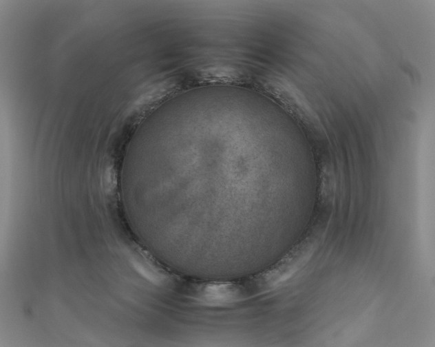 X0000111010173200906261527