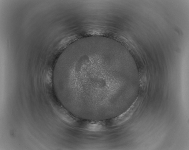 X0000111010175200906261527