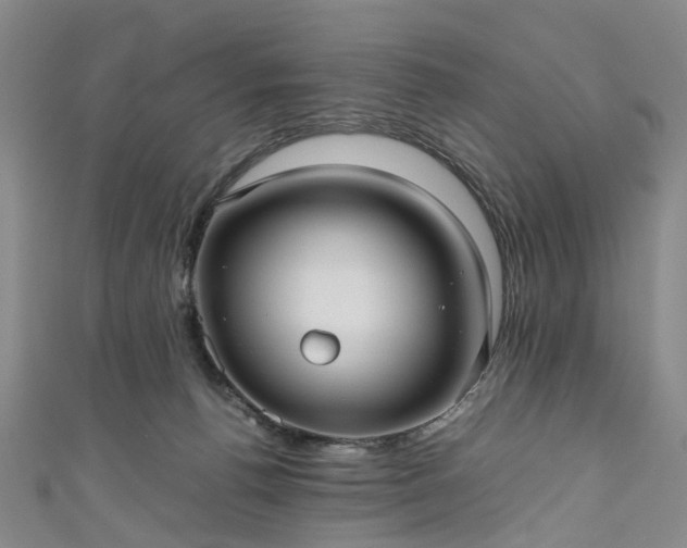 X0000111010176200906261527