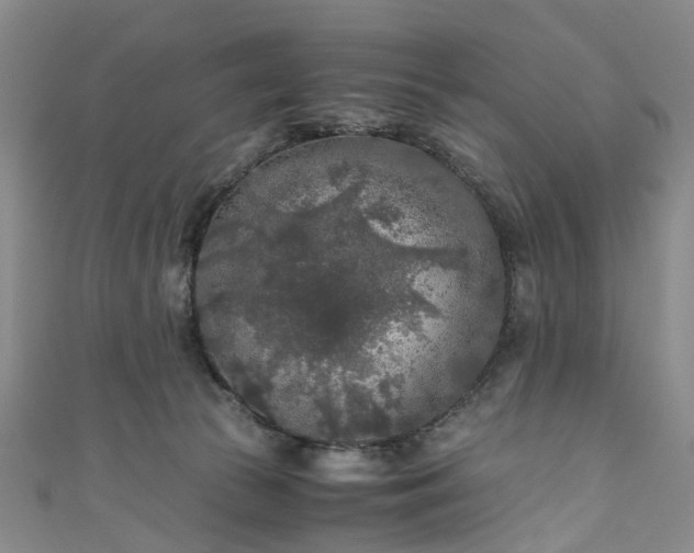 X0000111010177200906261527