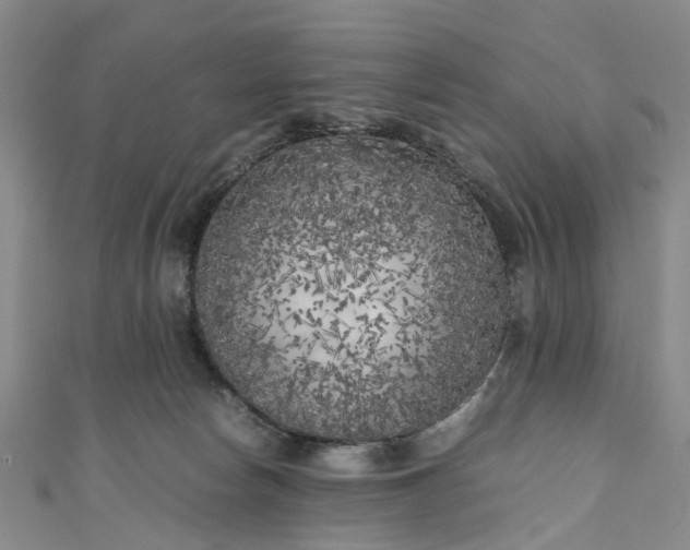 X0000111010178200906261527