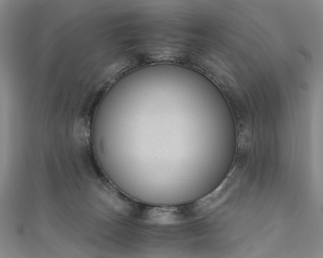 X0000111010179200906261527