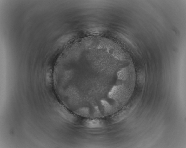 X0000111010181200906261527