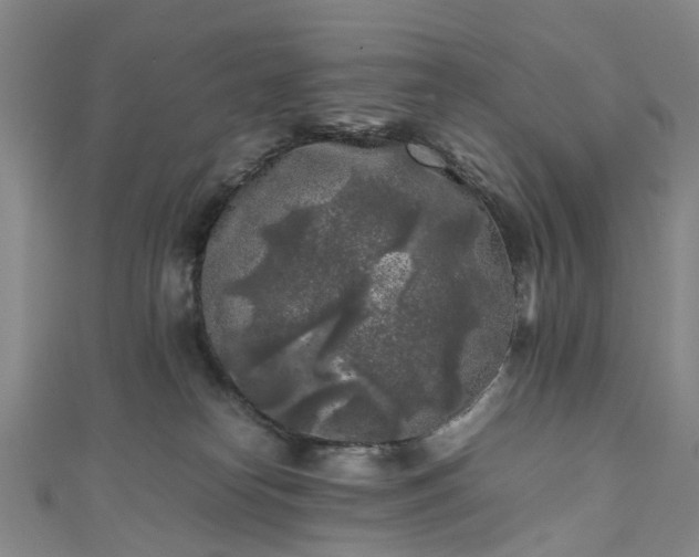 X0000111010182200906261527
