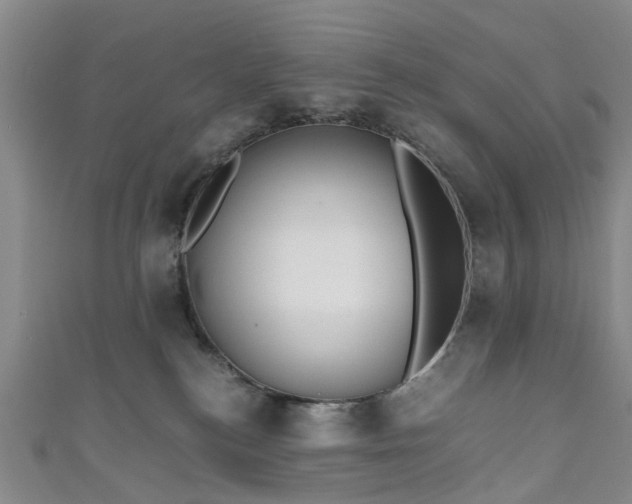 X0000111010184200906261527