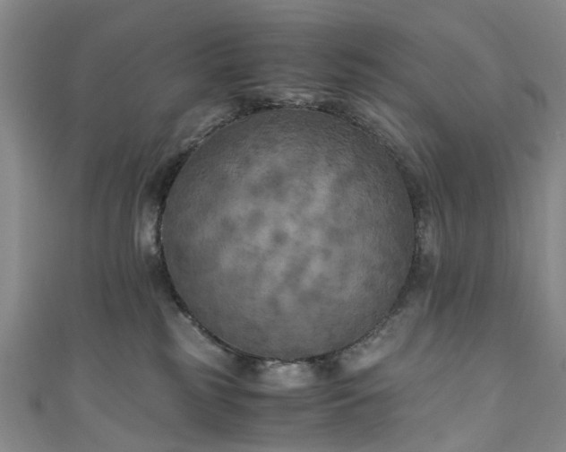 X0000111010185200906261527