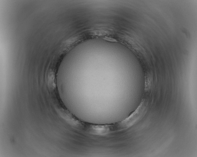 X0000111010187200906261527