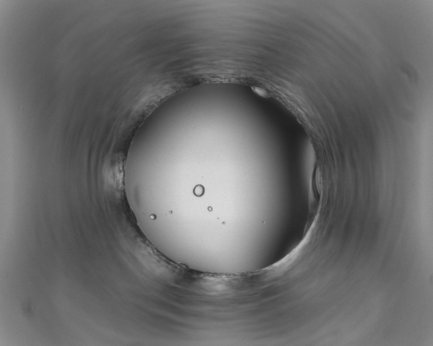 X0000111010190200906261527
