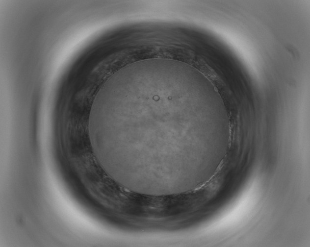 X0000111010191200906261527