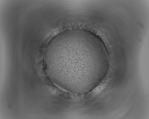 X0000111010192200906261527