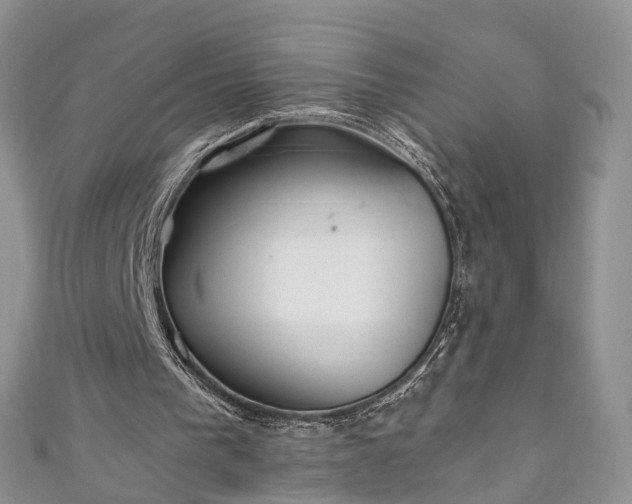 X0000111010193200906261527