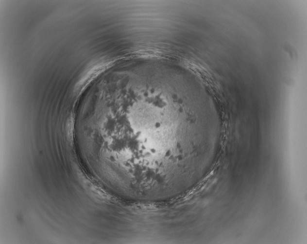 X0000111010194200906261527