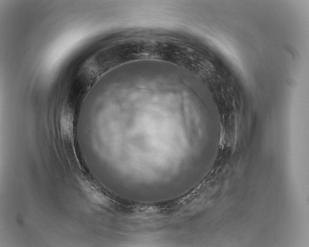 X0000111010195200906261527