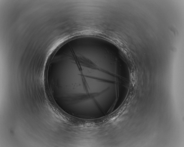 X0000111010196200906261527