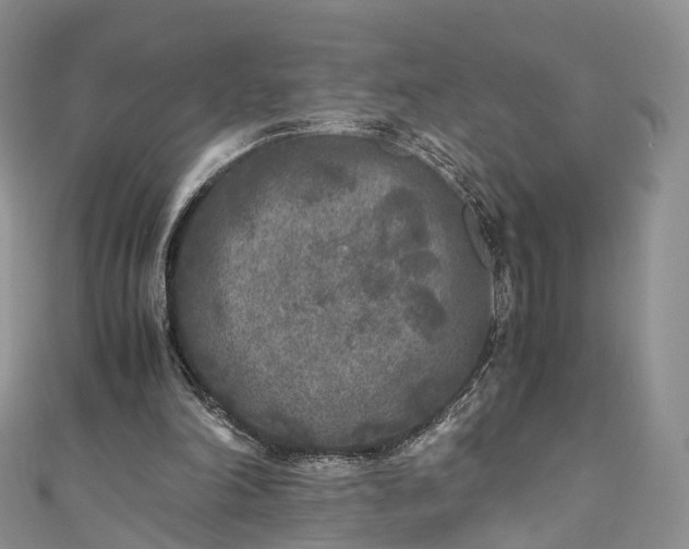 X0000111010198200906261527