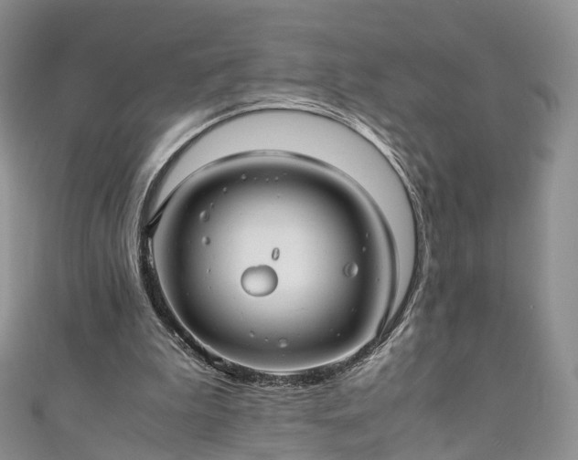 X0000111010199200906261527