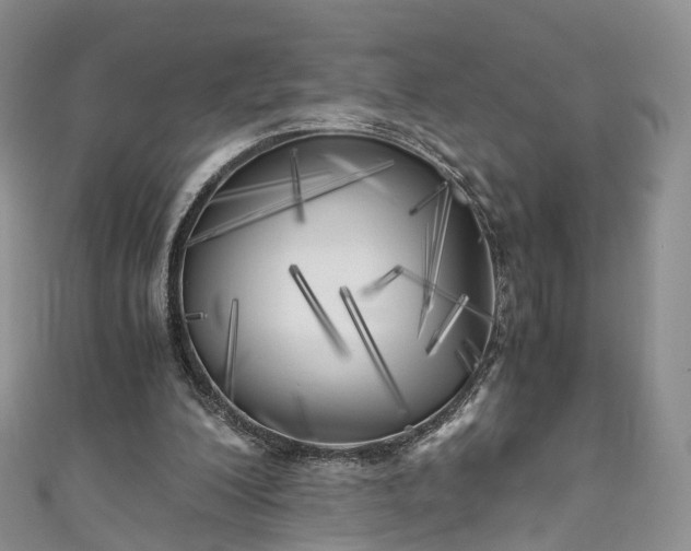X0000111010200200906261527