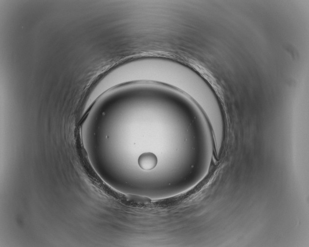 X0000111010201200906261527