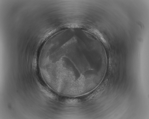 X0000111010202200906261527