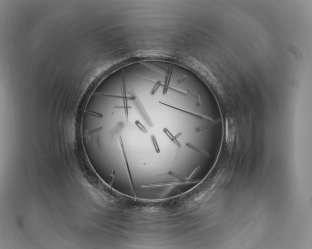 X0000111010204200906261527