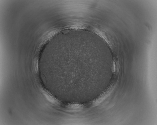 X0000111010205200906261527