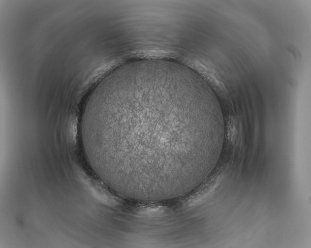X0000111010206200906261527