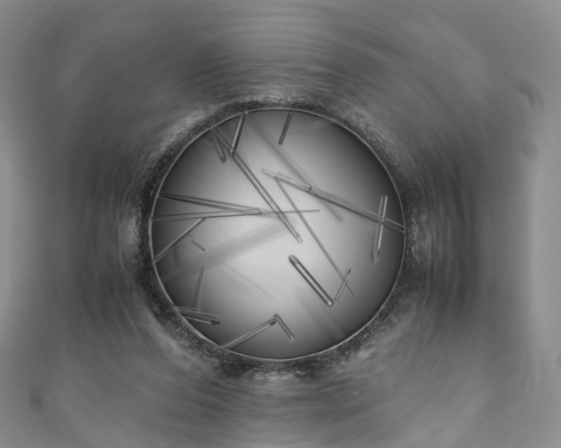 X0000111010208200906261527
