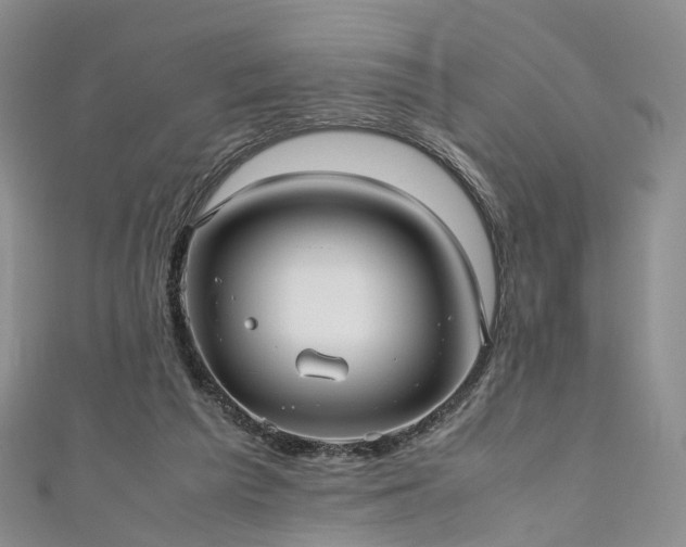X0000111010209200906261526