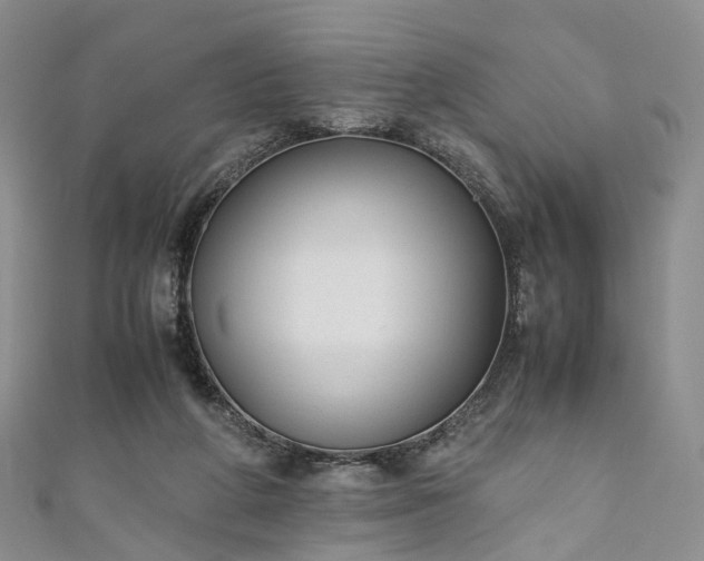 X0000111010210200906261526