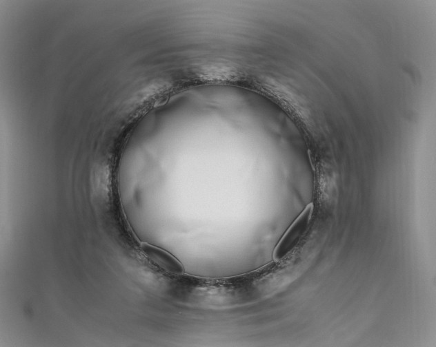 X0000111010211200906261526