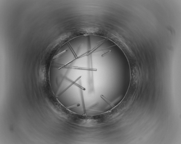 X0000111010212200906261526